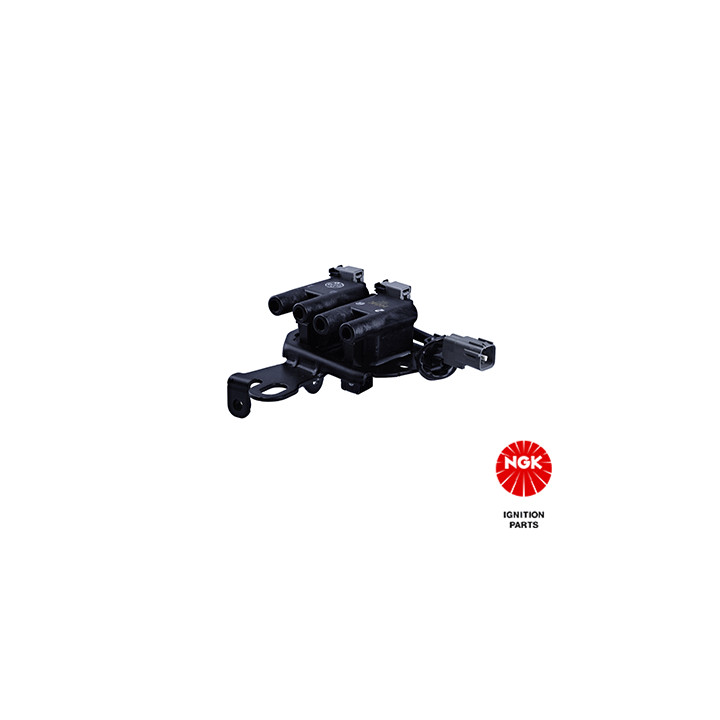 Ritė, uždegimas NGK 48230