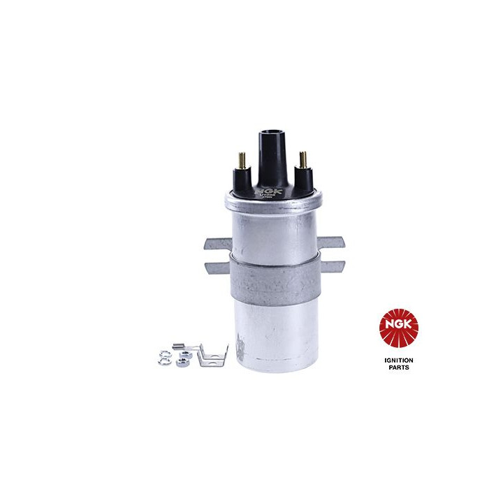 Ritė, uždegimas NGK 48236