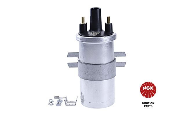 Ritė, uždegimas NGK 48236