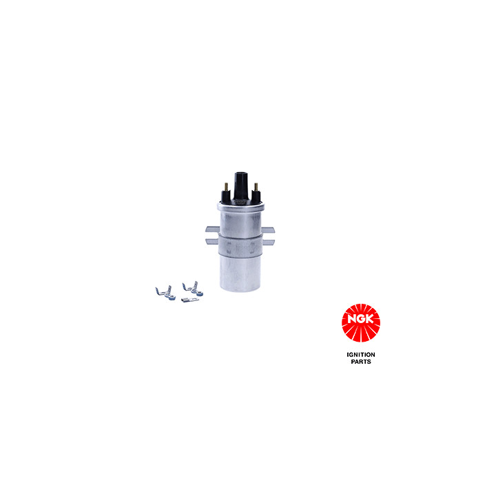 Ritė, uždegimas NGK 48236