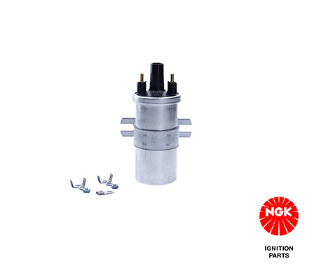 Ritė, uždegimas NGK 48236