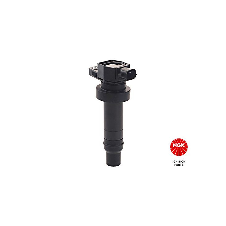 Ritė, uždegimas NGK 48239