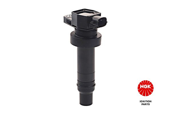 Ritė, uždegimas NGK 48239