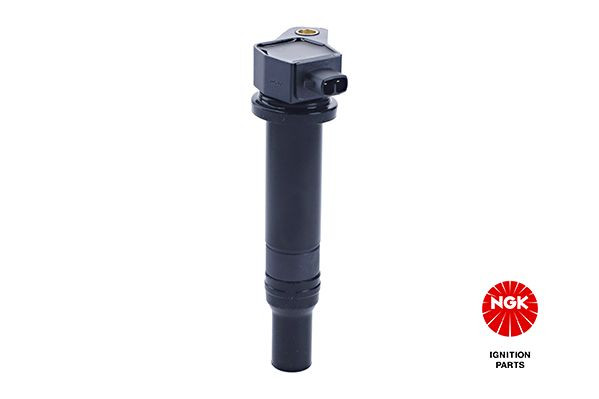 Ritė, uždegimas NGK 48241