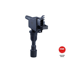 Ritė, uždegimas NGK 48242