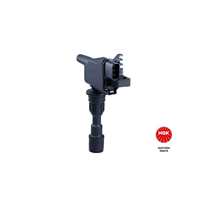 Ritė, uždegimas NGK 48242