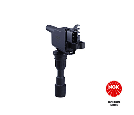 Ritė, uždegimas NGK 48242