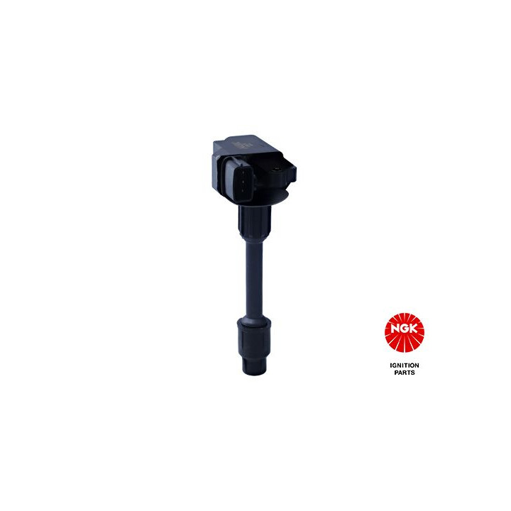 Ritė, uždegimas NGK 48243