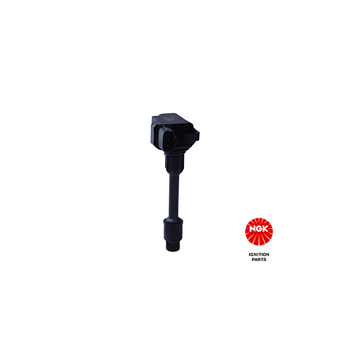 Ritė, uždegimas NGK 48243