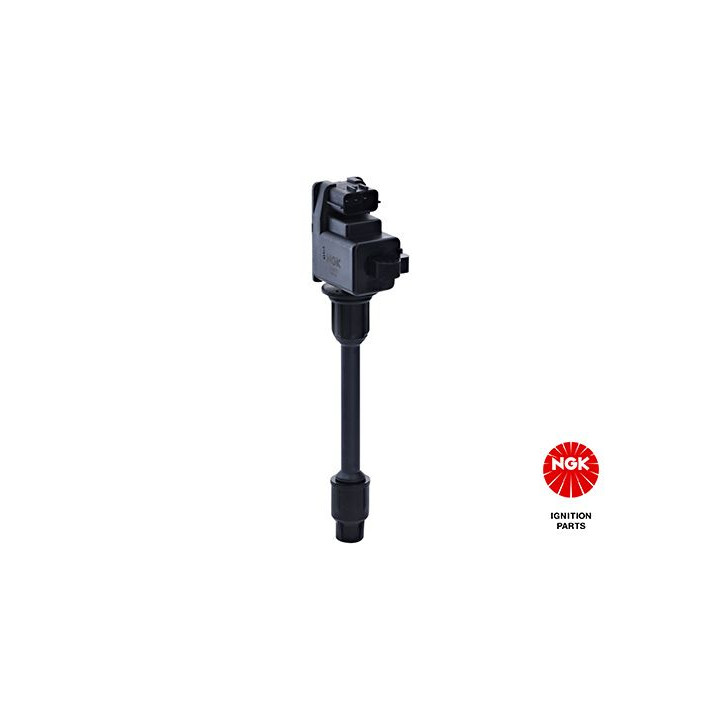 Ritė, uždegimas NGK 48244