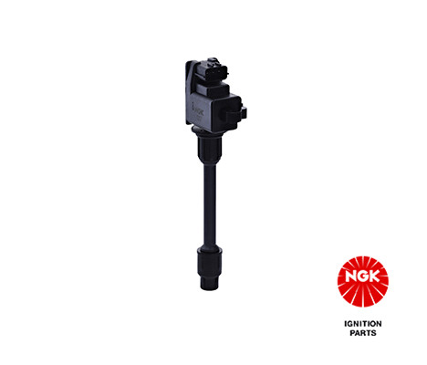 Ritė, uždegimas NGK 48244