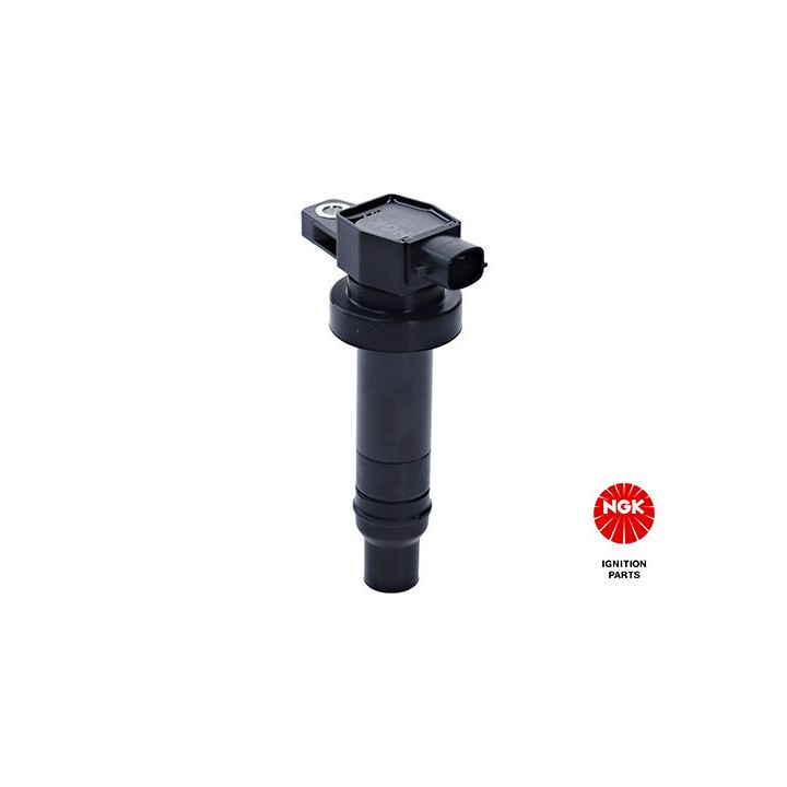 Ritė, uždegimas NGK 48245