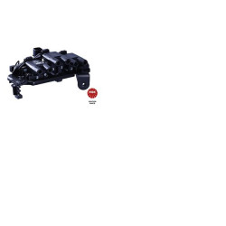 Ritė, uždegimas NGK 48249