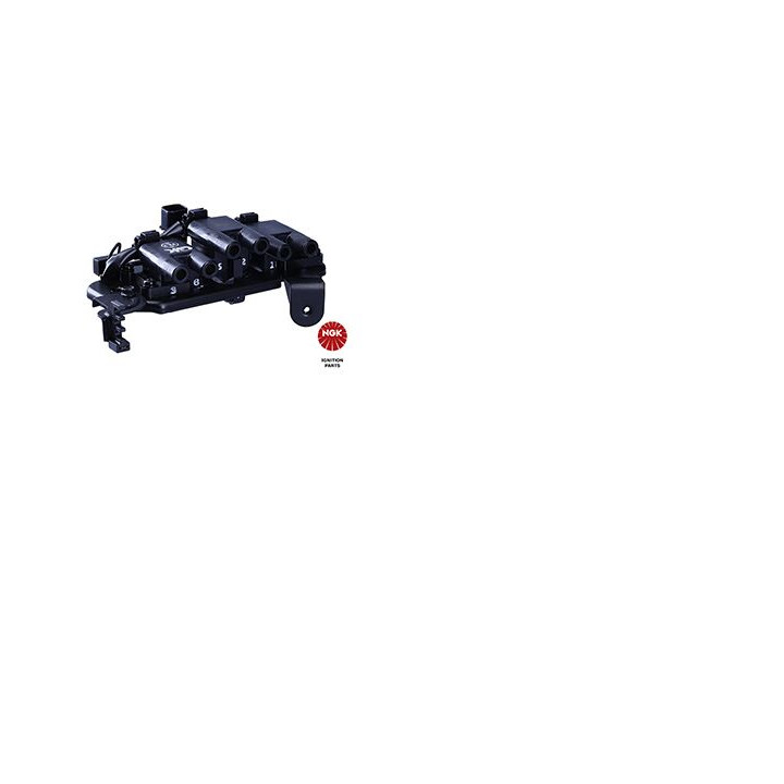 Ritė, uždegimas NGK 48249