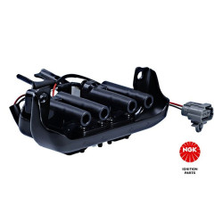 Ritė, uždegimas NGK 48250