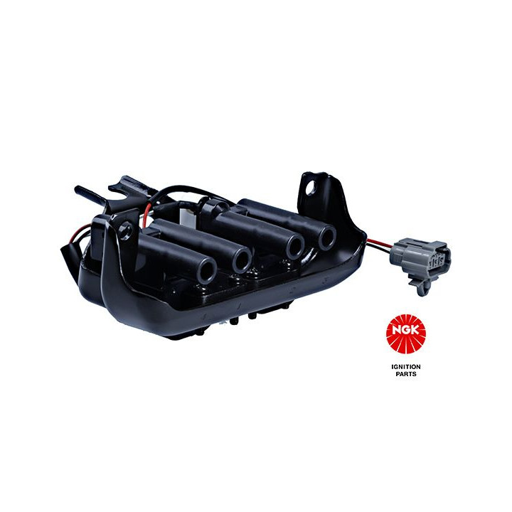 Ritė, uždegimas NGK 48250