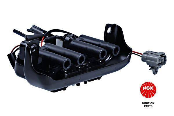 Ritė, uždegimas NGK 48250