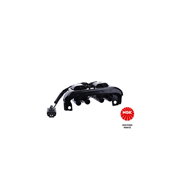 Ritė, uždegimas NGK 48250