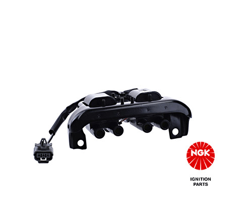 Ritė, uždegimas NGK 48250