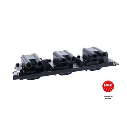 Ritė, uždegimas NGK 48251