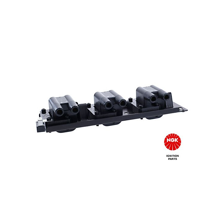 Ritė, uždegimas NGK 48251