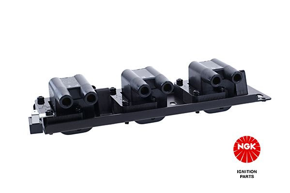 Ritė, uždegimas NGK 48251