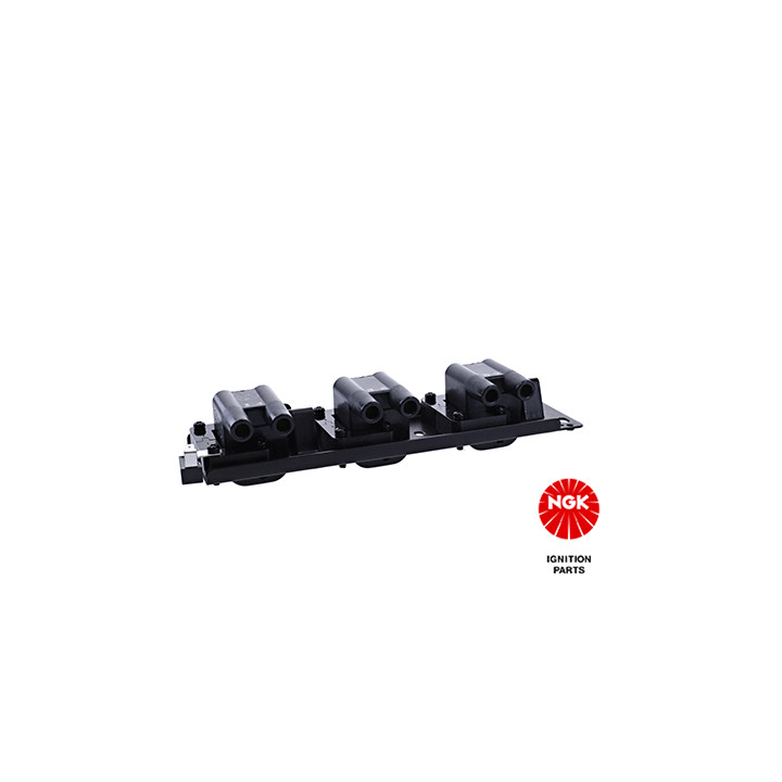 Ritė, uždegimas NGK 48251