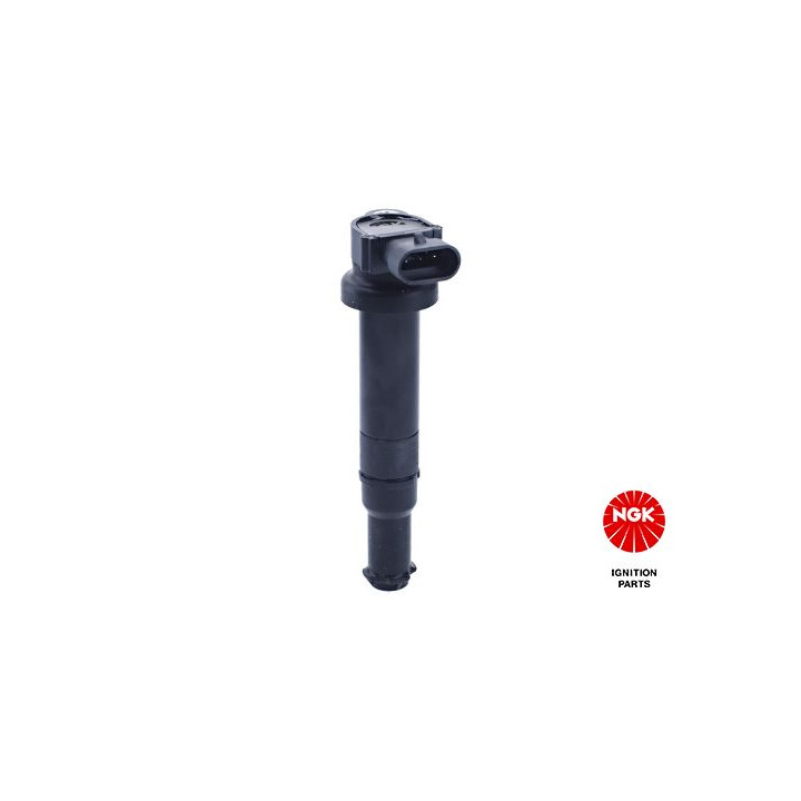 Ritė, uždegimas NGK 48252