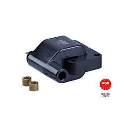 Ritė, uždegimas NGK 48253