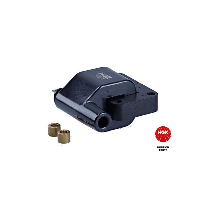 Ritė, uždegimas NGK 48253