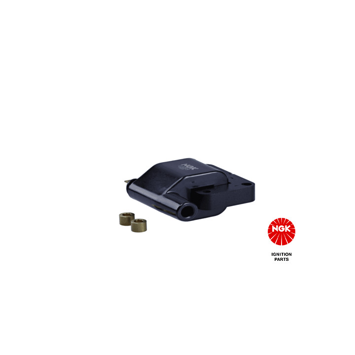 Ritė, uždegimas NGK 48253