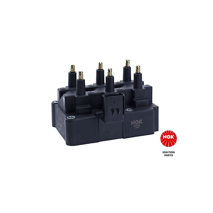 Ritė, uždegimas NGK 48261