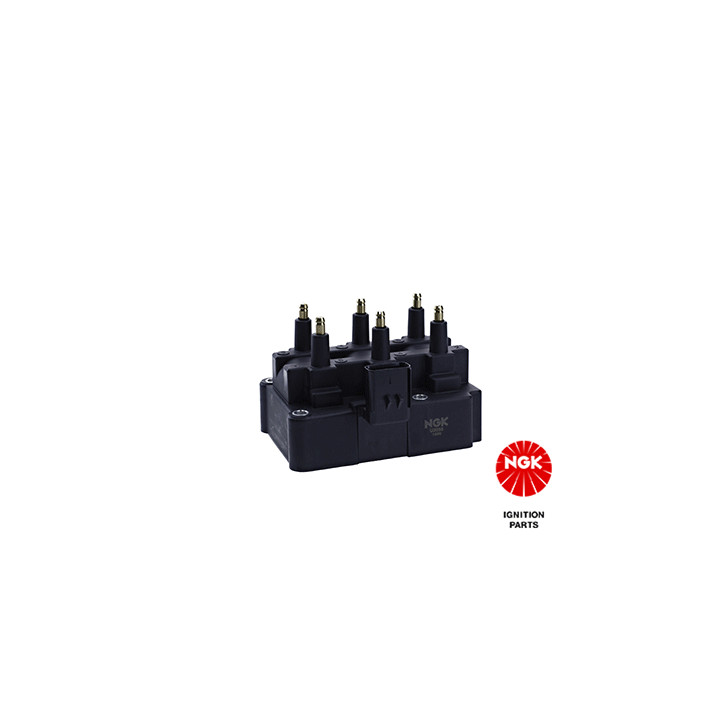 Ritė, uždegimas NGK 48261