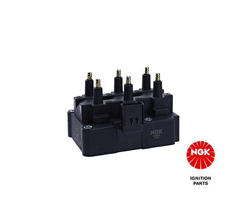 Ritė, uždegimas NGK 48261