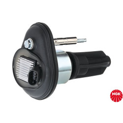 Ritė, uždegimas NGK 48263