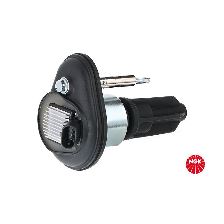 Ritė, uždegimas NGK 48263