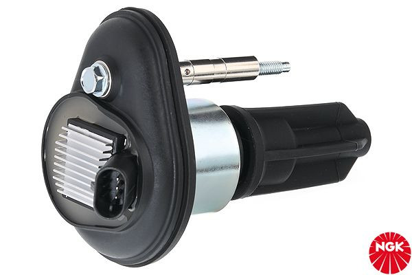 Ritė, uždegimas NGK 48263