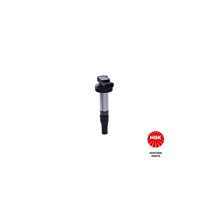 Ritė, uždegimas NGK 48267