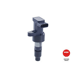 Ritė, uždegimas NGK 48268