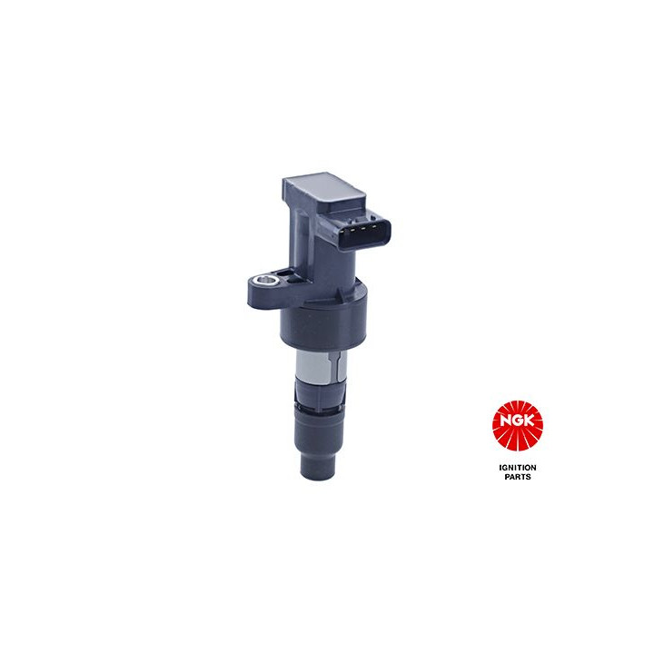 Ritė, uždegimas NGK 48268