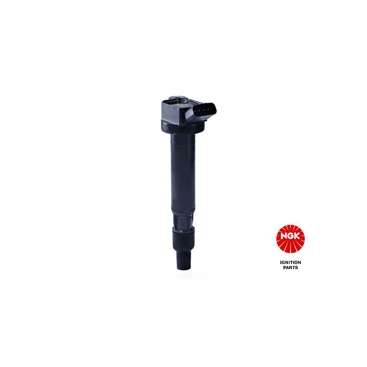 Ritė, uždegimas NGK 48269