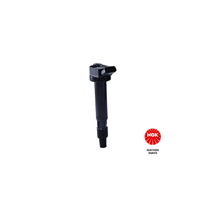 Ritė, uždegimas NGK 48269