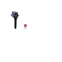 Ritė, uždegimas NGK 48270