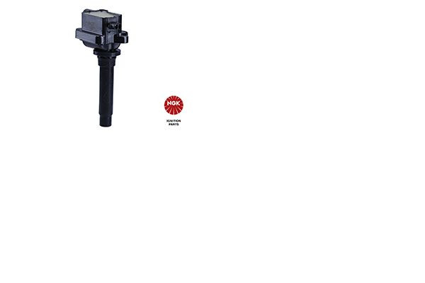 Ritė, uždegimas NGK 48270