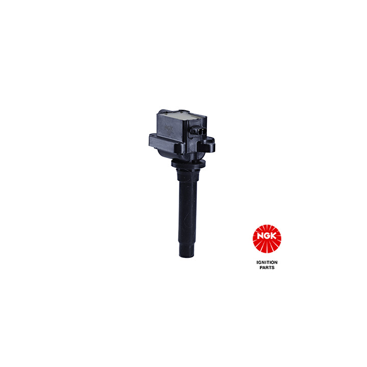 Ritė, uždegimas NGK 48270