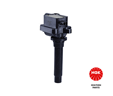 Ritė, uždegimas NGK 48270