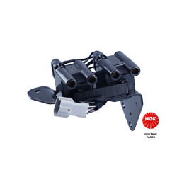 Ritė, uždegimas NGK 48272