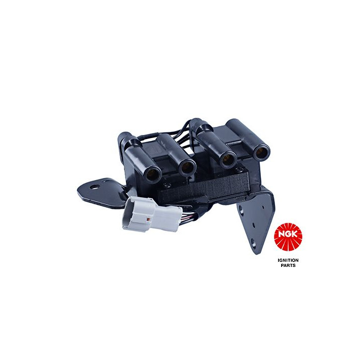 Ritė, uždegimas NGK 48272