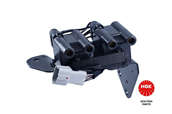 Ritė, uždegimas NGK 48272