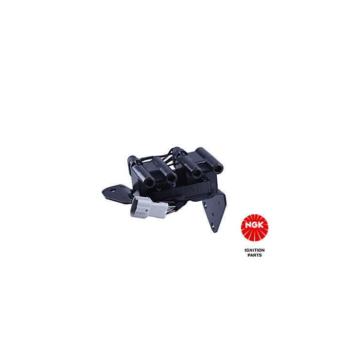 Ritė, uždegimas NGK 48272